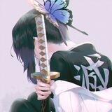 AnimeCityDram List