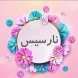 عمده و همکاری نارسیس🌹