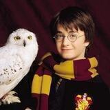 English with Harry Potter