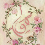 هیوا 🕊