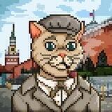 Ton NFT Коты и Хаски