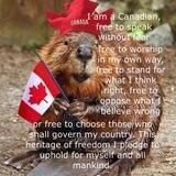 Canadian kaos