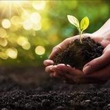Fulvic, Superfoods, & Holistic Health