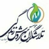 کانالِ تلاشگران (موسسه تلاشگران سروش زندگی)