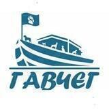 Приют "🐾ГАВЧЕГ 🐾" Ташкент