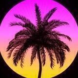 𝕭𝖑𝖆𝖈𝖐 𝖕𝖆𝖑𝖒𝖆🌴