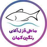 ماهی قزل آلای رنگین کمان🐬