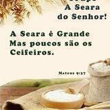 A SEARA DO SENHOR🌾