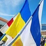 Радикальное Сопротивление