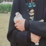حـانـيَة 🌱