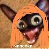 Матроскины мемы