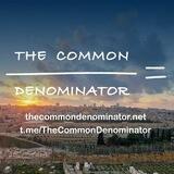 The Common Denominator with Ilana Rachel Daniel