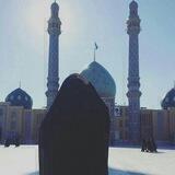 زهرائية💔٣١٣
