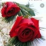 📘كلمات🌹حكمة🌹ومعرفة📘