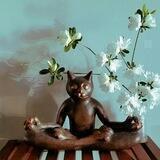 Yoga Well