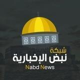 شبكة نبض الأخبارية
