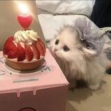 EnchantlngLove