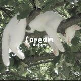 fᴏrᴇᴀʍ. (ᴋᴀнᴀᴧ)