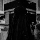 • قناة «أبرار أحمد» .. ❀