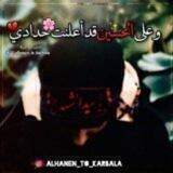 ✨ عشقي حسيني🥀
