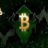 Cryptos GROW