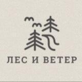 Лес и ветер 🌲 💨