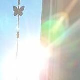 ✨ Light-Info-Channel ✨