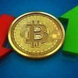 Bitcoin Egypt Group
