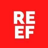 Reef