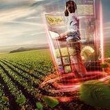 Agrobox