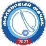 Малиновый мячик | Хоккей с мячом