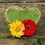 صدای دل من ( اشعار رامین راقب )