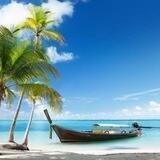 Looking For Crypto Gems (LFCG)