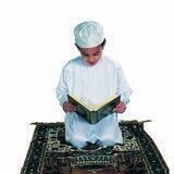 القرآن نبض قلبي ♥