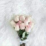 كيان أنثى🌸🌱