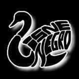CISNE NEGRO