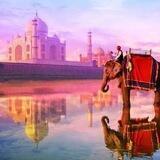 ИНДИЯ СЕГОДНЯ. 🇮🇳INDIA TODAY