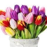 ОТКРЫТКИ 🎇 с пожеланиями💐