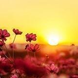 •🌻• Minuto Dɑ Reflexα̃o •🌻•