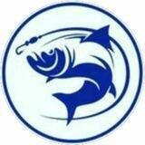 Ryba_plus 🐟