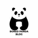 Bored Panda