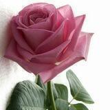🌹بيع وشراء بين النساء 🌹 تصديرة عروي، اثاث، ملابس، اواني.. الخ🌹🌹