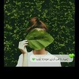 أصـحاب القلوب الخضـراء💚