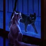 Уголок мурчащей темноты🐾