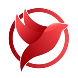 demo-info.at