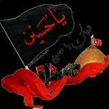 قناة الرادود ملا🕊 حيدر الدبيسي