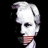 Revealing Wikileaks Files