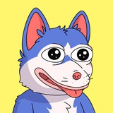 🐶 WOLT Dog Community 🐶