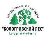 Заповедник Кологривский Лес