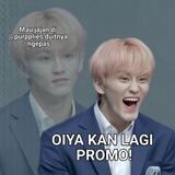 ❦ ֵ 𝒫urpplies˚₊⊹ PROMO